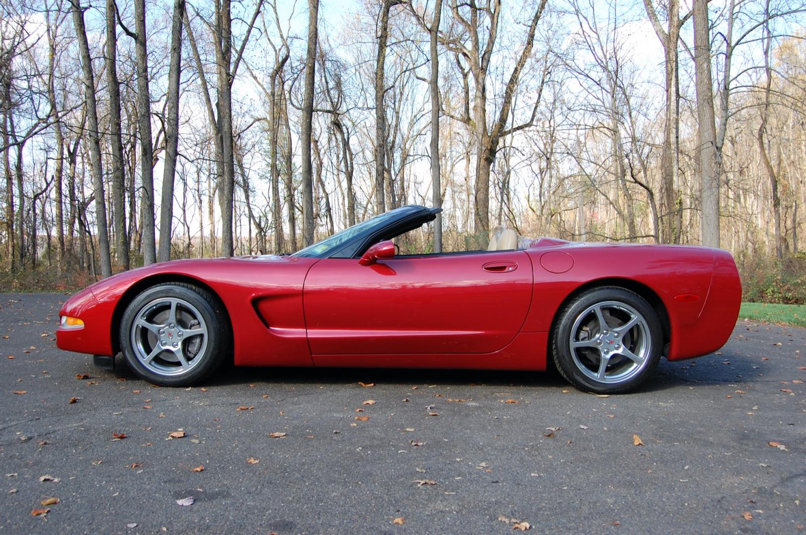 1998 Burgundy /Beige Leather Chevrolet Corvette (1G1YY32G9W5) with an 5.7 liter V8 engine, Automatic transmission, located at 6528 Lower York Road, New Hope, PA, 18938, (215) 862-9555, 40.358707, -74.977882 - Photo#20